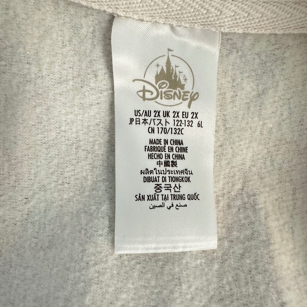 Disney Parks Disneyland Living My Best Disney Life Colorblock Quarter Zip 2X - Picture 7 of 8